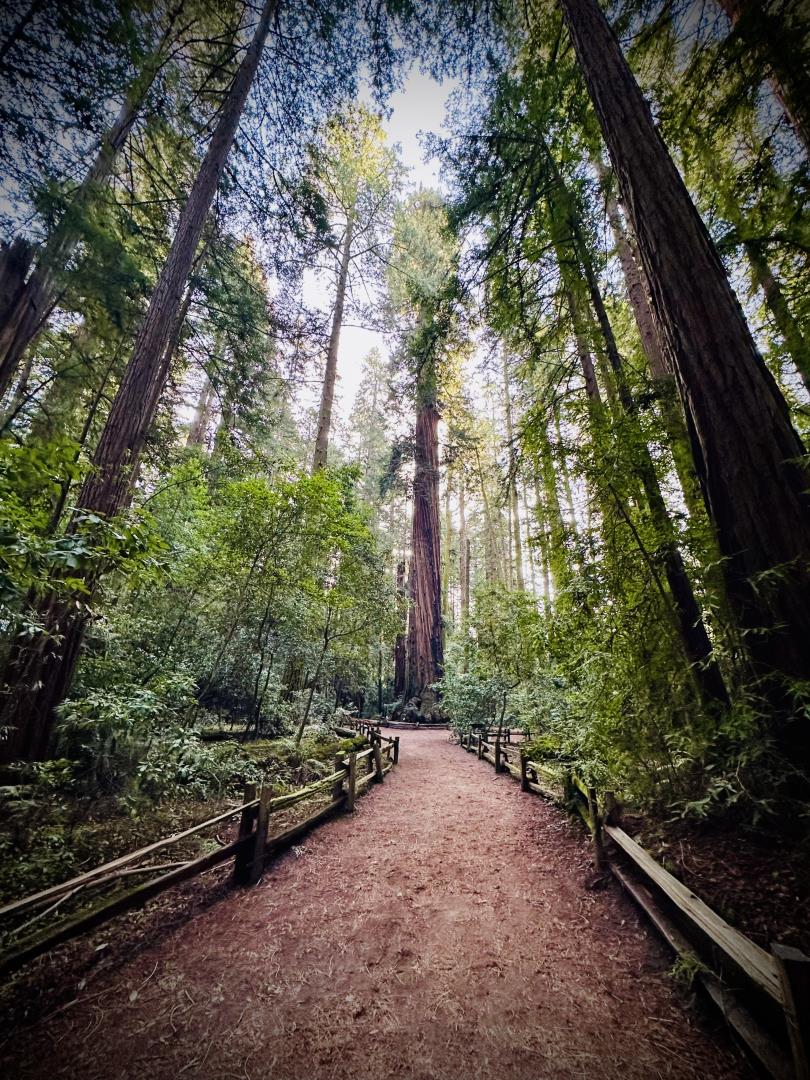 Detail Gallery Image 46 of 55 For 8684 Hihn Rd, Ben Lomond,  CA 95005 - 3 Beds | 2/1 Baths