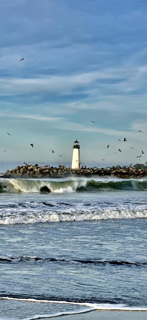 Detail Gallery Image 48 of 55 For 8684 Hihn Rd, Ben Lomond,  CA 95005 - 3 Beds | 2/1 Baths