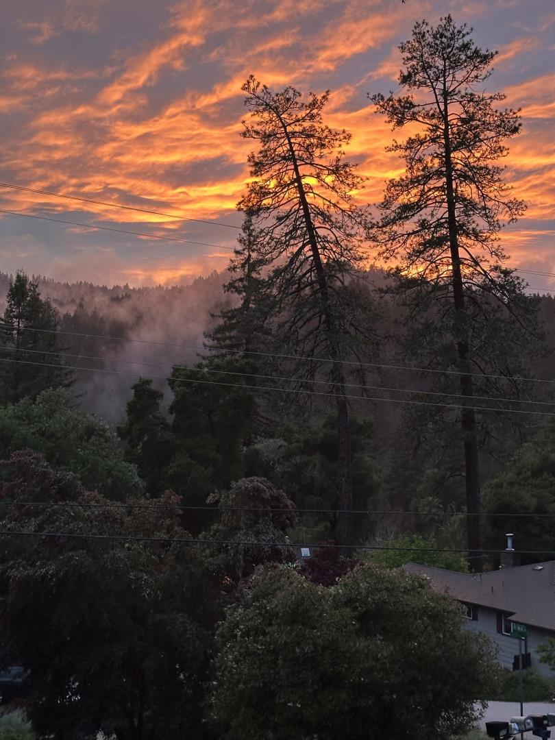 Detail Gallery Image 49 of 55 For 8684 Hihn Rd, Ben Lomond,  CA 95005 - 3 Beds | 2/1 Baths