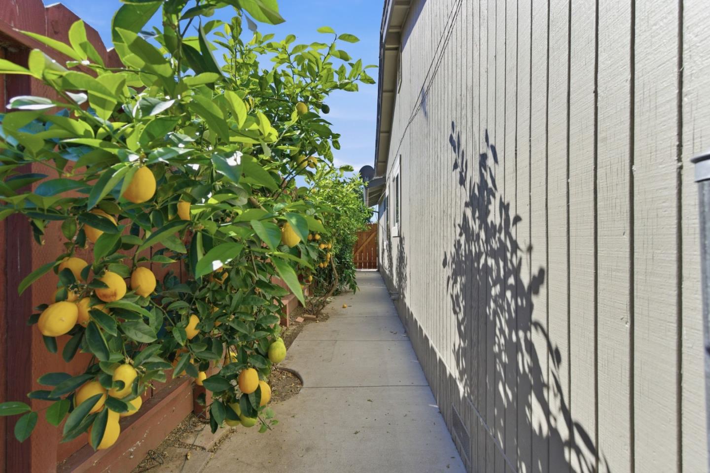 Detail Gallery Image 25 of 42 For 1660 Monte Vista Dr, Hollister,  CA 95023 - 3 Beds | 2 Baths