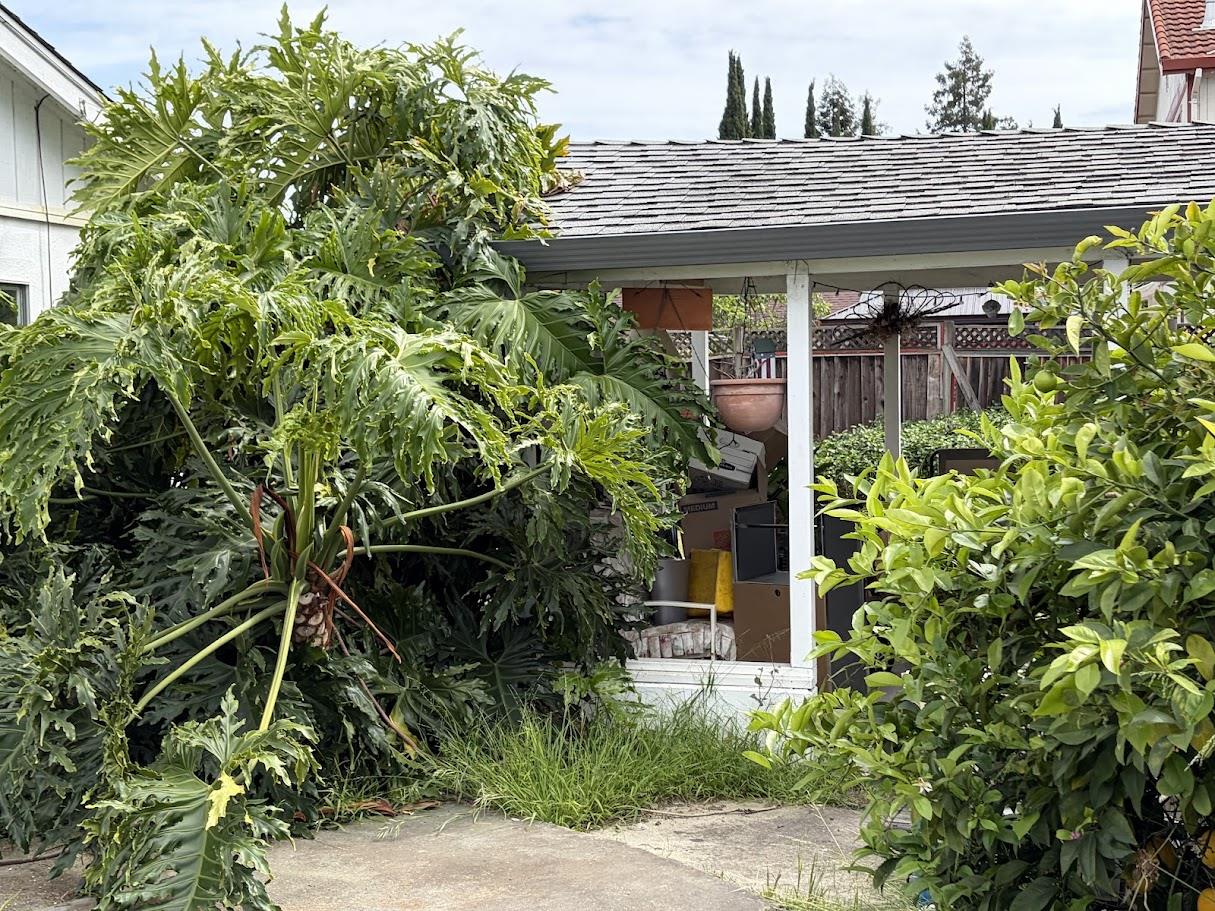 Detail Gallery Image 9 of 17 For 10176 S Tantau Ave, Cupertino,  CA 95014 - 3 Beds | 2 Baths