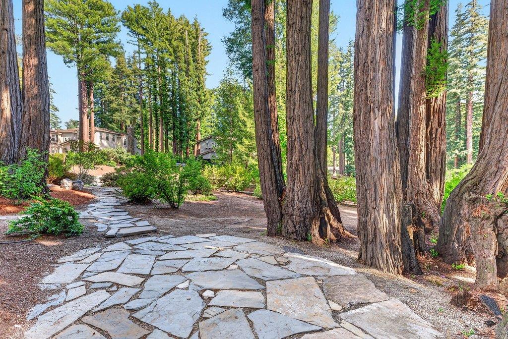 Detail Gallery Image 65 of 69 For 121 Palomino Way, Santa Cruz,  CA 95060 - 4 Beds | 4/1 Baths