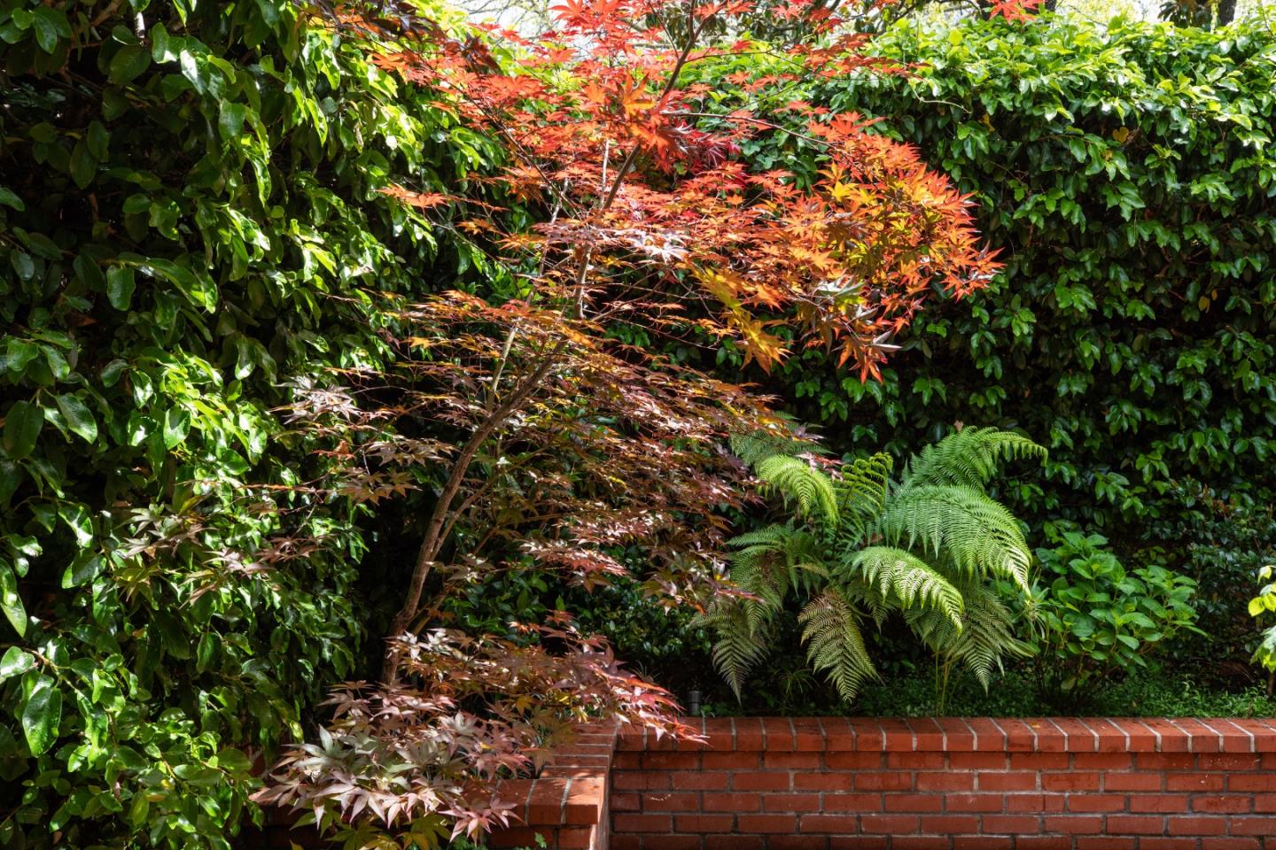 Detail Gallery Image 39 of 52 For 1880 Fulton St, Palo Alto,  CA 94303 - 4 Beds | 3 Baths