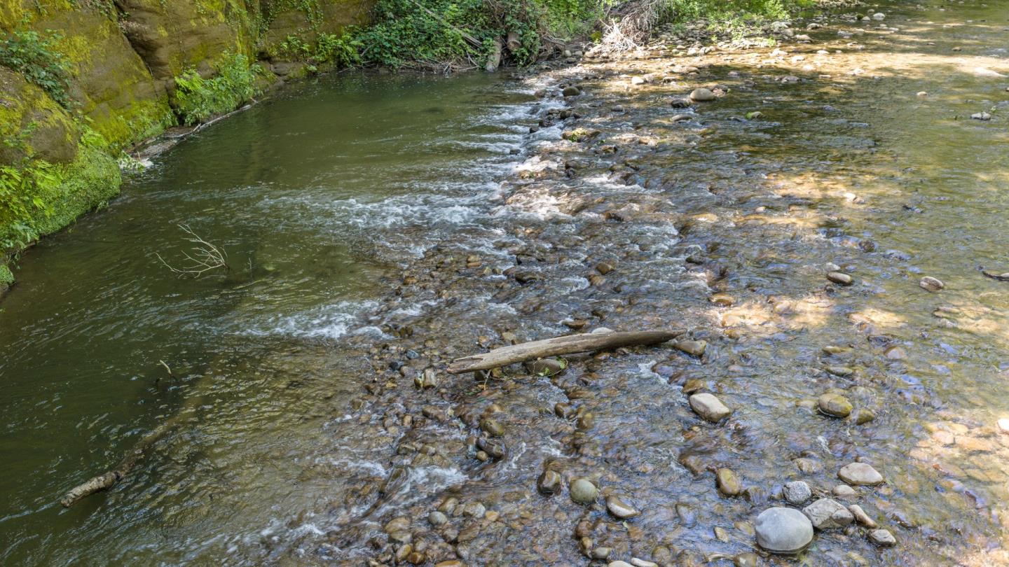 Detail Gallery Image 58 of 63 For 3498 Soquel San Jose Rd, Soquel,  CA 95073 - 4 Beds | 2 Baths