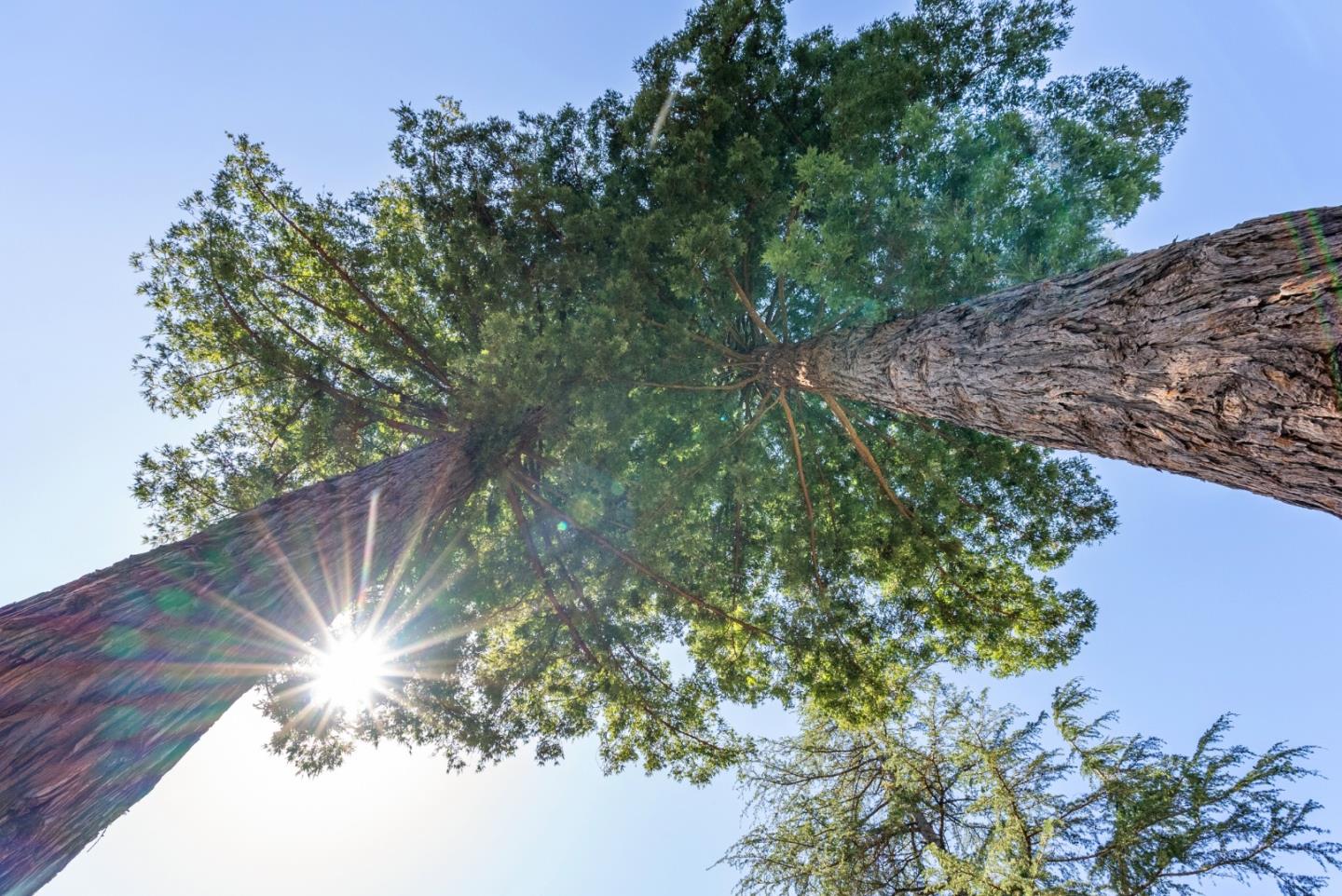 Detail Gallery Image 61 of 63 For 3498 Soquel San Jose Rd, Soquel,  CA 95073 - 4 Beds | 2 Baths