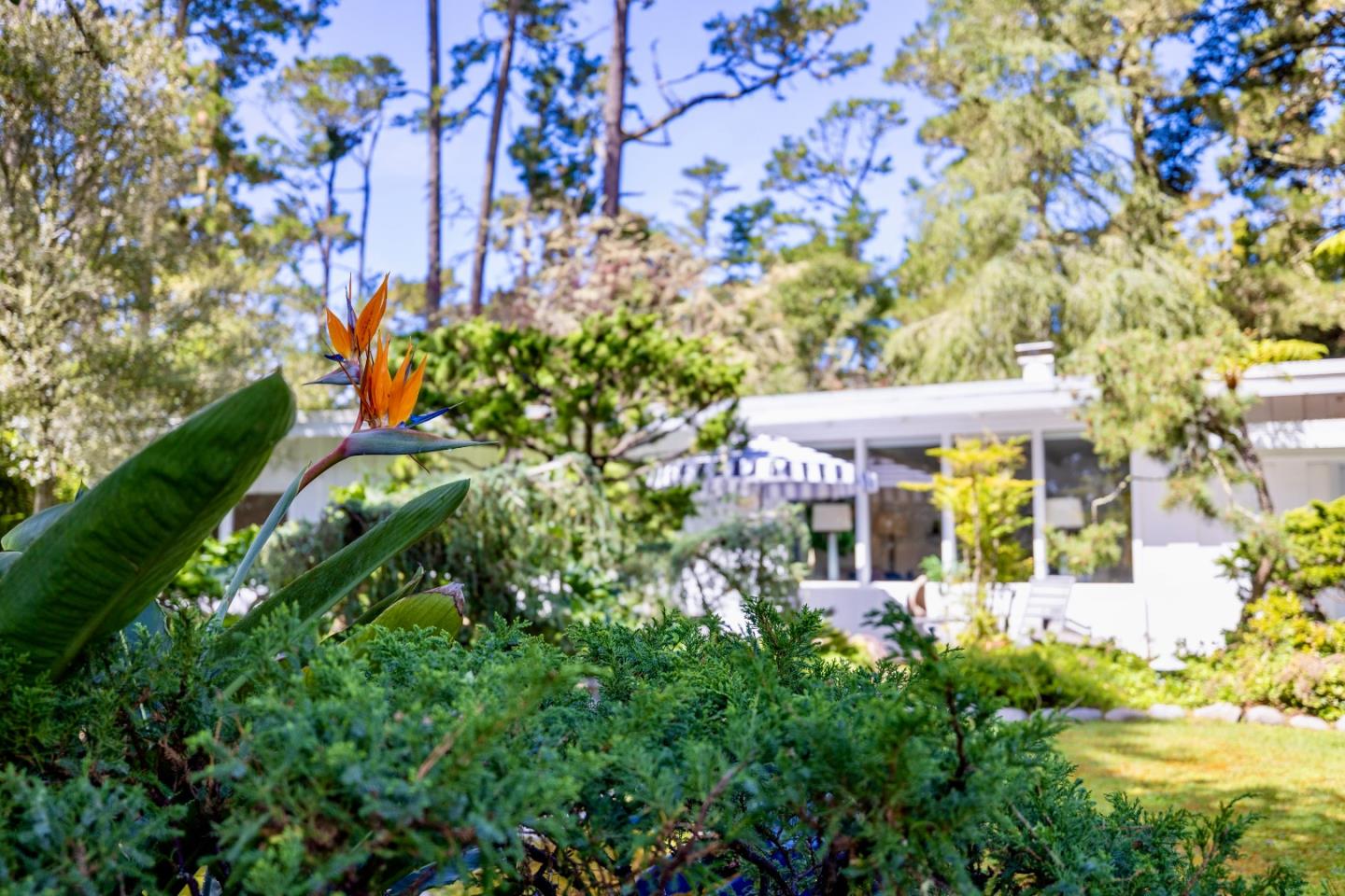 Detail Gallery Image 50 of 63 For 4058 El Bosque Dr, Pebble Beach,  CA 93953 - 3 Beds | 2 Baths