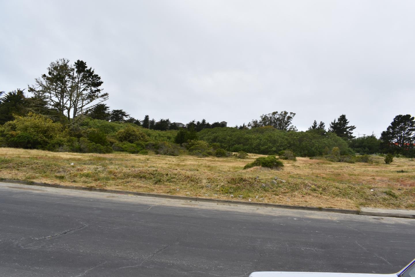 Detail Gallery Image 10 of 35 For 3836 Carter Dr, South San Francisco,  CA 94080 - 4 Beds | 2/1 Baths