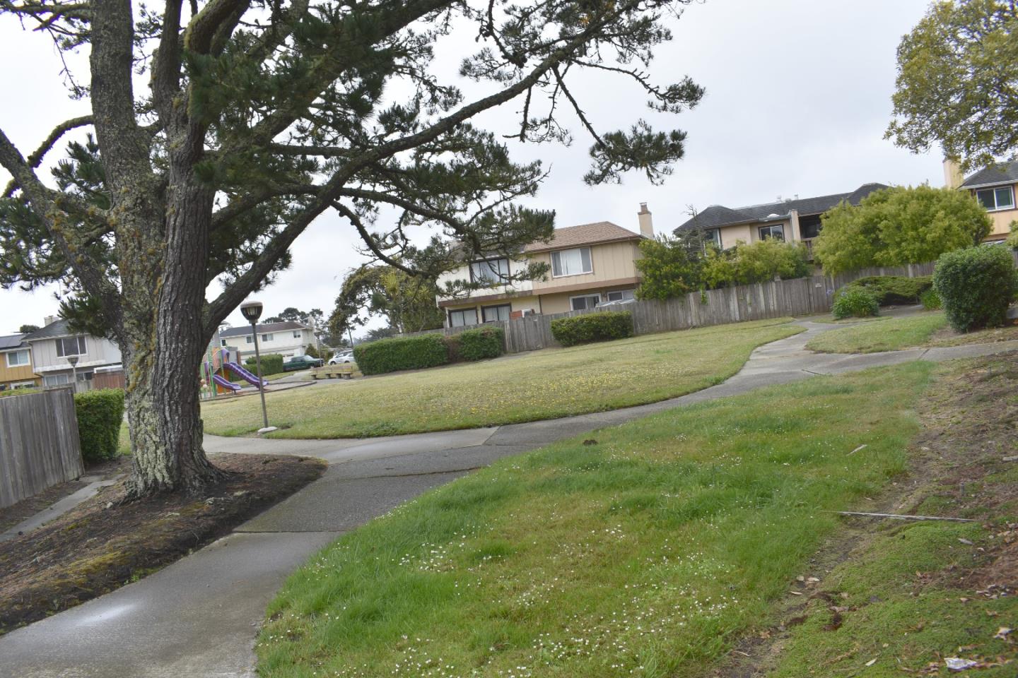 Detail Gallery Image 8 of 35 For 3836 Carter Dr, South San Francisco,  CA 94080 - 4 Beds | 2/1 Baths