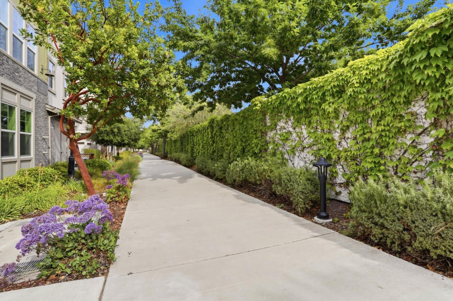 Detail Gallery Image 31 of 34 For 816 Julian Ter #5,  Sunnyvale,  CA 94085 - 4 Beds | 3/1 Baths