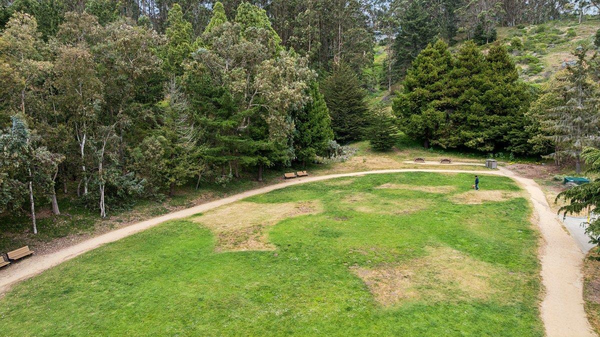 Detail Gallery Image 47 of 49 For 119 E Moltke St, Daly City,  CA 94014 - – Beds | – Baths