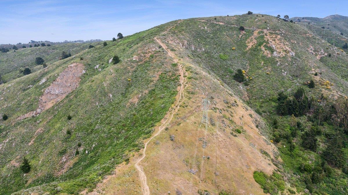 Detail Gallery Image 49 of 49 For 119 E Moltke St, Daly City,  CA 94014 - – Beds | – Baths