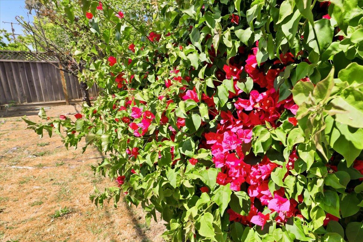 Detail Gallery Image 32 of 48 For 7733 Lilac Way, Cupertino,  CA 95014 - 4 Beds | 2 Baths