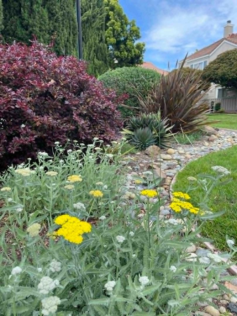 Photo #34: ML82043194 Listing: Photo #34