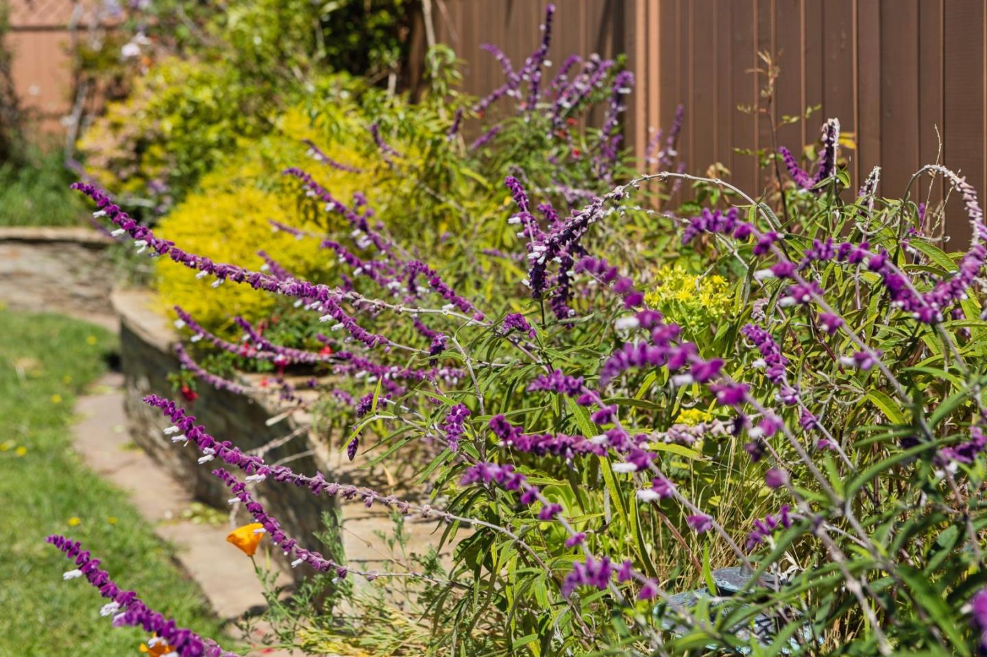 Detail Gallery Image 28 of 30 For 735 Montezuma Dr, Pacifica,  CA 94044 - 3 Beds | 1 Baths