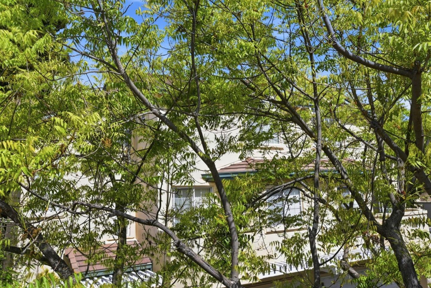 Detail Gallery Image 42 of 48 For 4173 El Camino Real #9,  Palo Alto,  CA 94306 - 2 Beds | 2/1 Baths