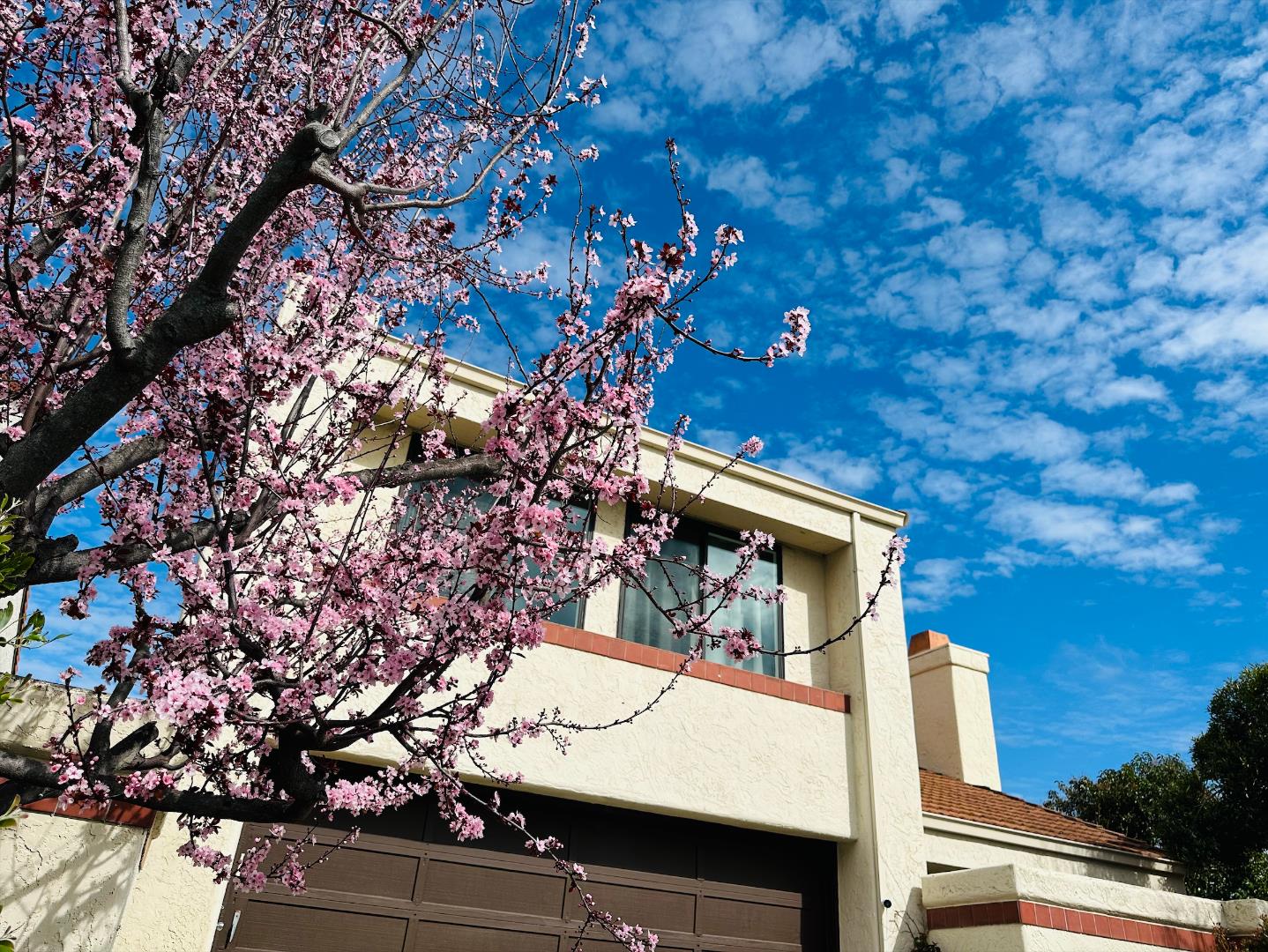 Detail Gallery Image 3 of 55 For 12 Riviera Cir, Redwood City,  CA 94065 - 4 Beds | 2/1 Baths