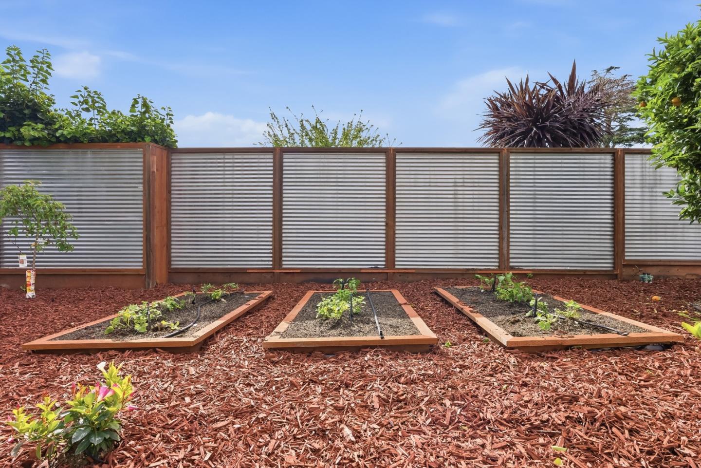 Detail Gallery Image 32 of 45 For 1414 Laurel, Santa Cruz,  CA 95060 - 3 Beds | 2 Baths