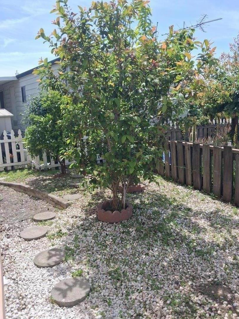 2150 Almaden Road UNIT 142, San Jose, CA, 95125