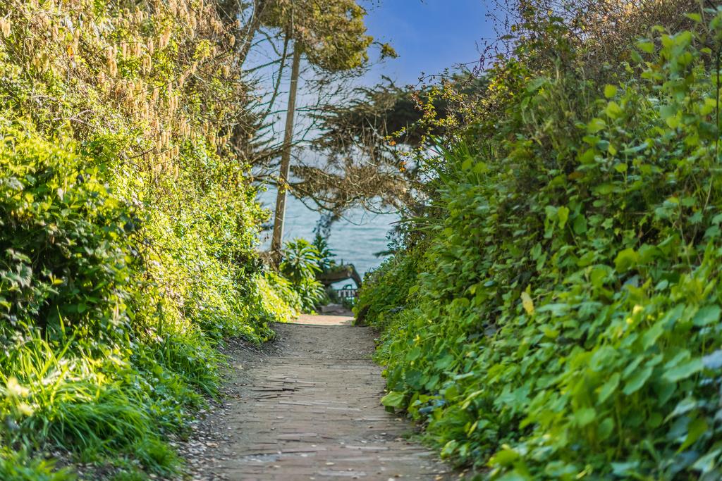 Detail Gallery Image 47 of 48 For 524 Middlefield Dr, Aptos,  CA 95003 - 3 Beds | 2 Baths