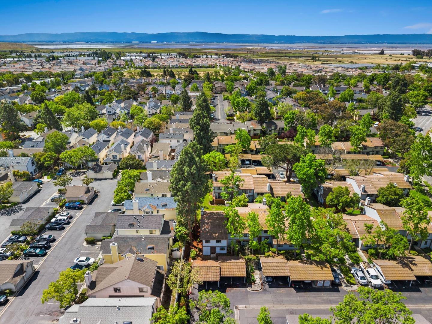 Detail Gallery Image 34 of 36 For 6136 Joaquin Murieta Ave a,  Newark,  CA 94560 - 3 Beds | 2/1 Baths
