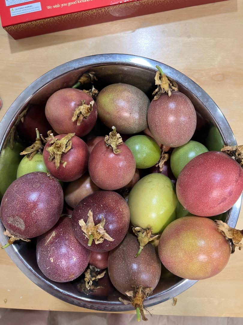 Detail Gallery Image 38 of 41 For 32915 Lake Erie St, Fremont,  CA 94555 - 3 Beds | 2 Baths