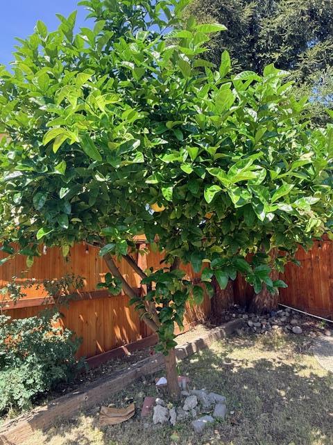 Detail Gallery Image 28 of 32 For 3730 Rolling Hills Dr, Pittsburg,  CA 94565 - 3 Beds | 2 Baths