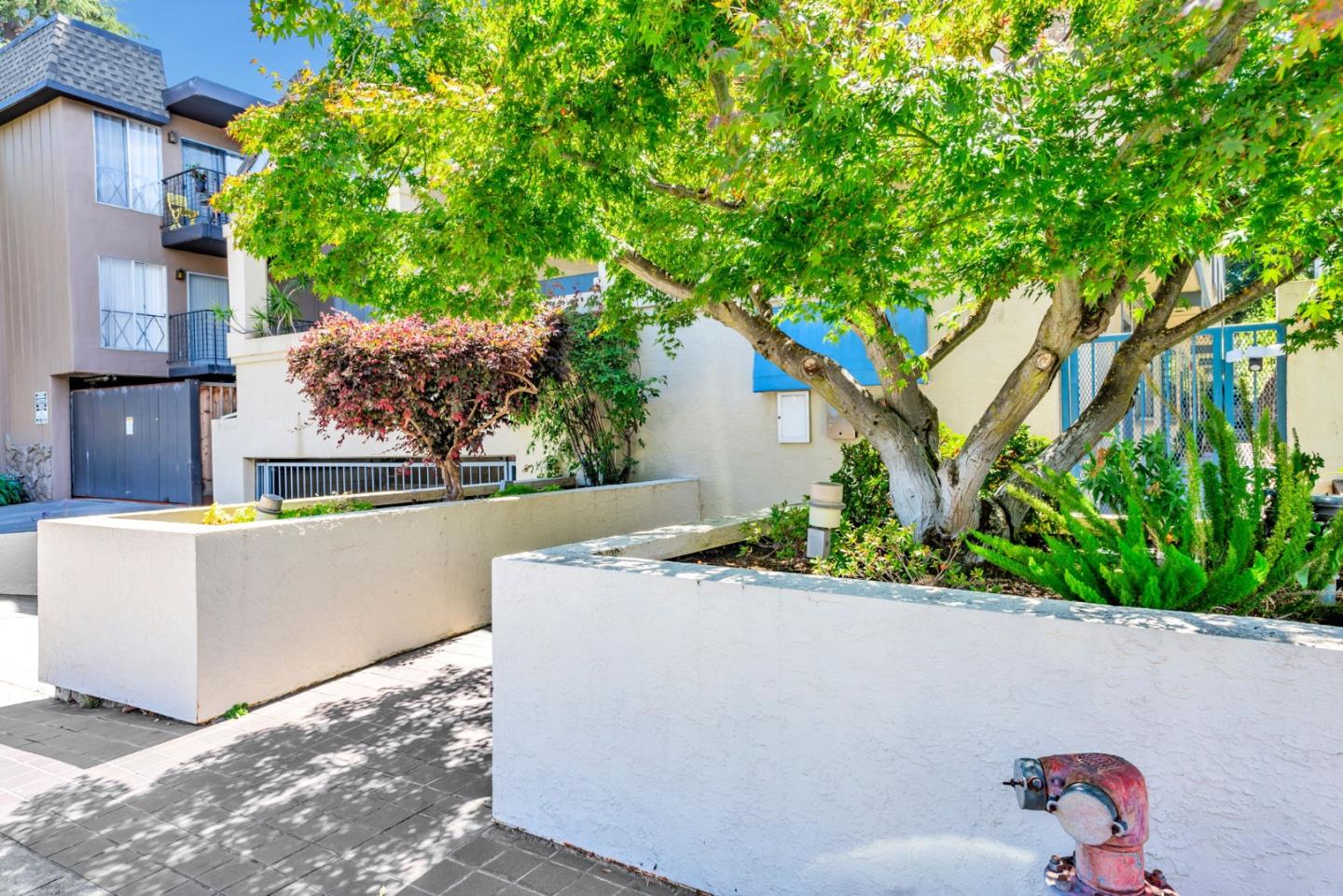 Detail Gallery Image 3 of 37 For 656 Cedar St #3,  San Carlos,  CA 94070 - 2 Beds | 2/1 Baths