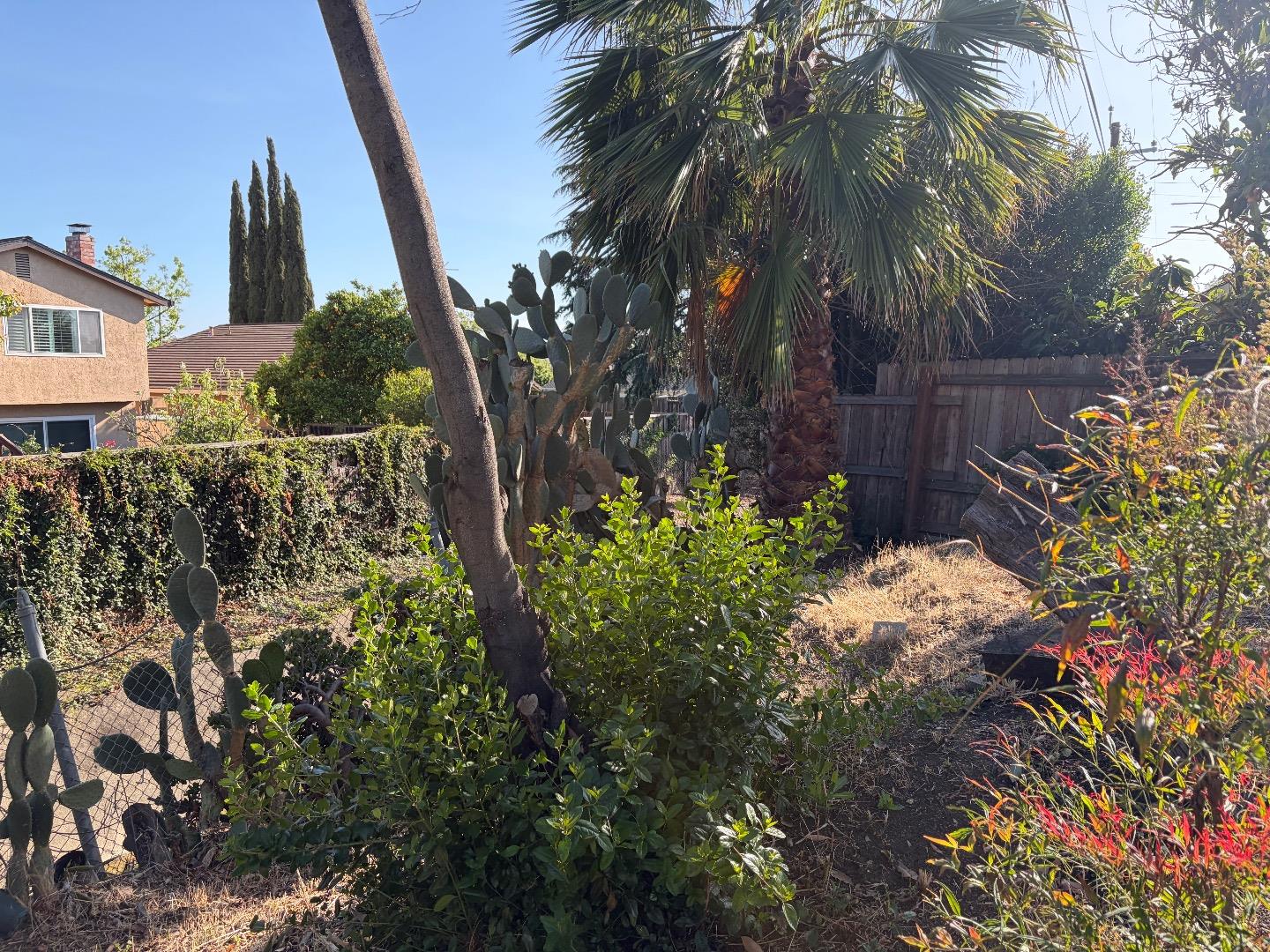 Detail Gallery Image 26 of 29 For 606 Vesper Ave, Fremont,  CA 94539 - 3 Beds | 2 Baths