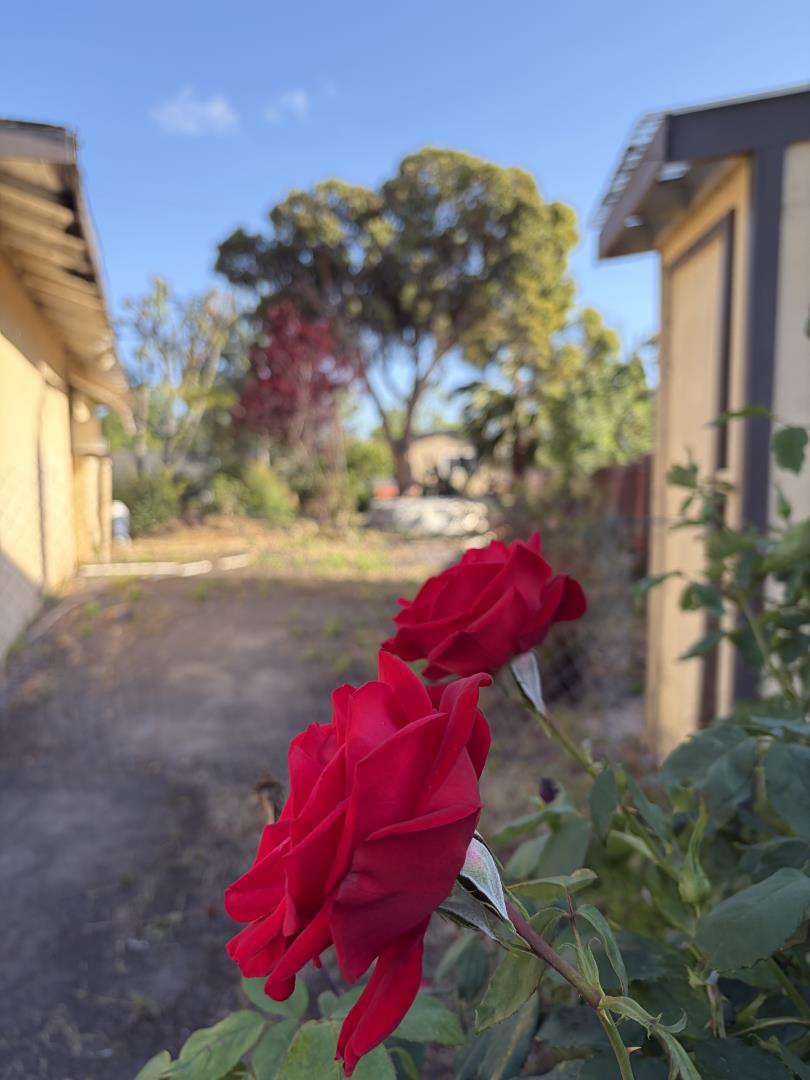 Detail Gallery Image 29 of 29 For 606 Vesper Ave, Fremont,  CA 94539 - 3 Beds | 2 Baths