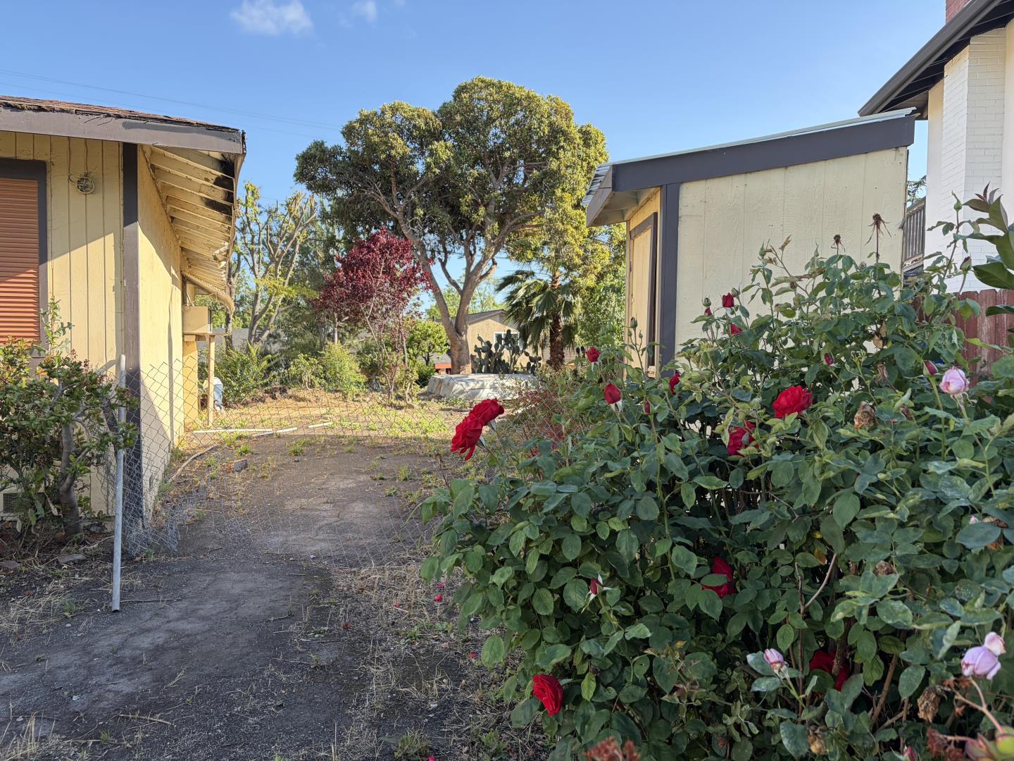 606 Vesper Avenue, Fremont, CA, 94539