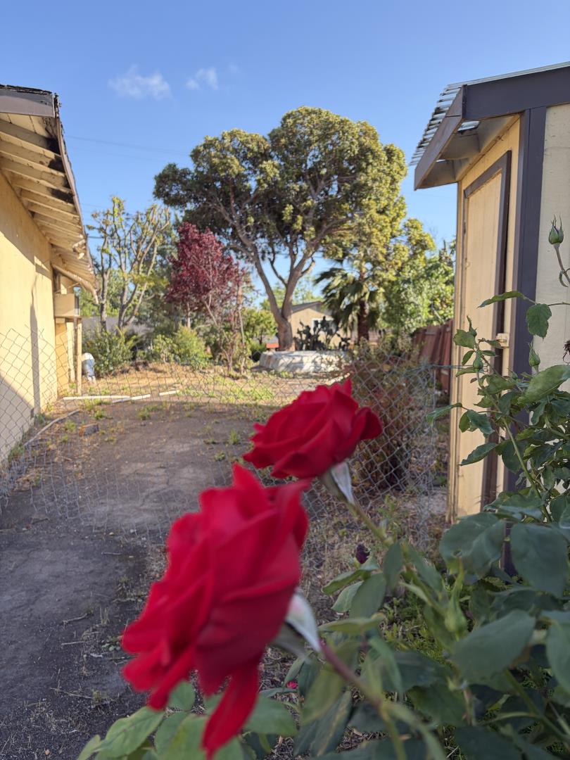 606 Vesper Avenue, Fremont, CA, 94539