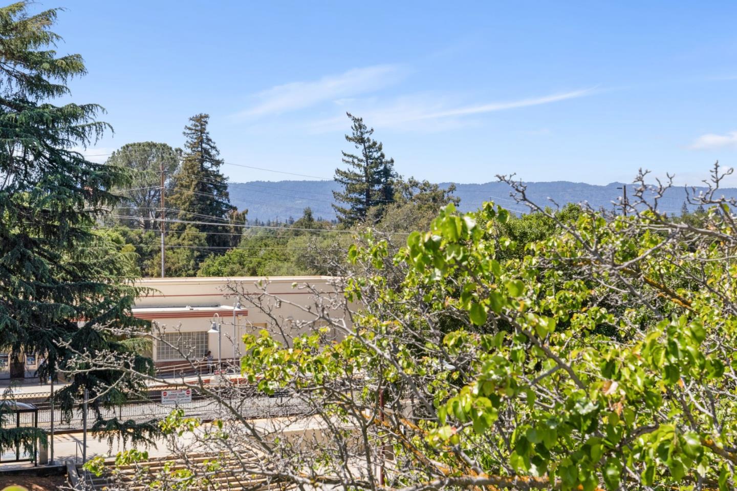 Photo #21: ML82043441 Listing: Photo #21