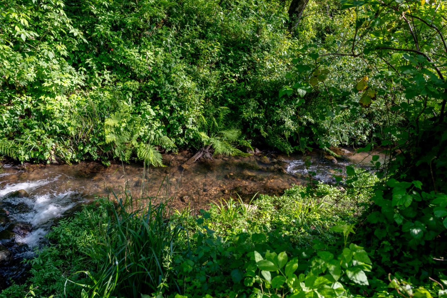 Detail Gallery Image 71 of 85 For 2570 Purisima Creek Rd, Half Moon Bay,  CA 94019 - 4 Beds | 3 Baths