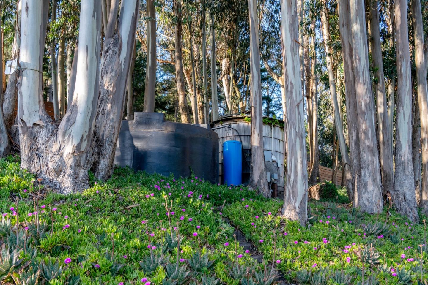 Detail Gallery Image 72 of 85 For 2570 Purisima Creek Rd, Half Moon Bay,  CA 94019 - 4 Beds | 3 Baths