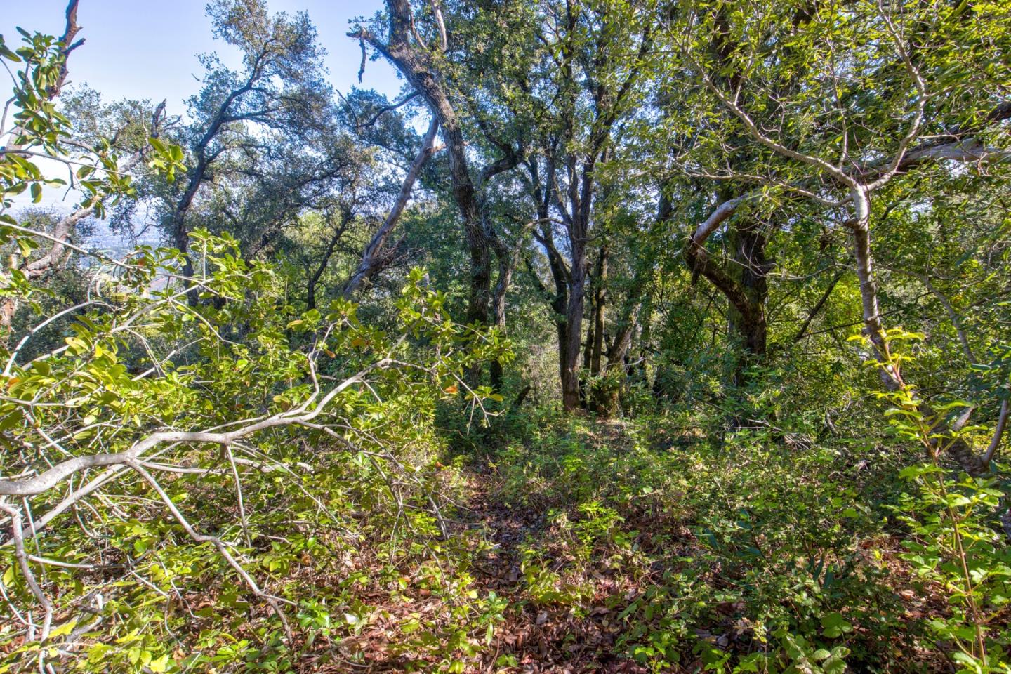 Detail Gallery Image 26 of 36 For 0 Montebello Rd, Cupertino,  CA 95014 - – Beds | – Baths