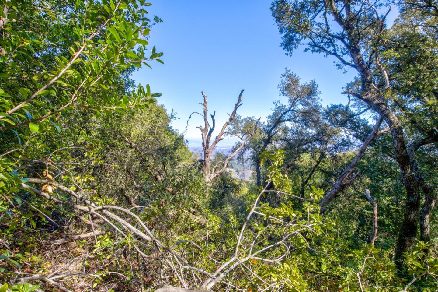 Detail Gallery Image 27 of 36 For 0 Montebello Rd, Cupertino,  CA 95014 - – Beds | – Baths