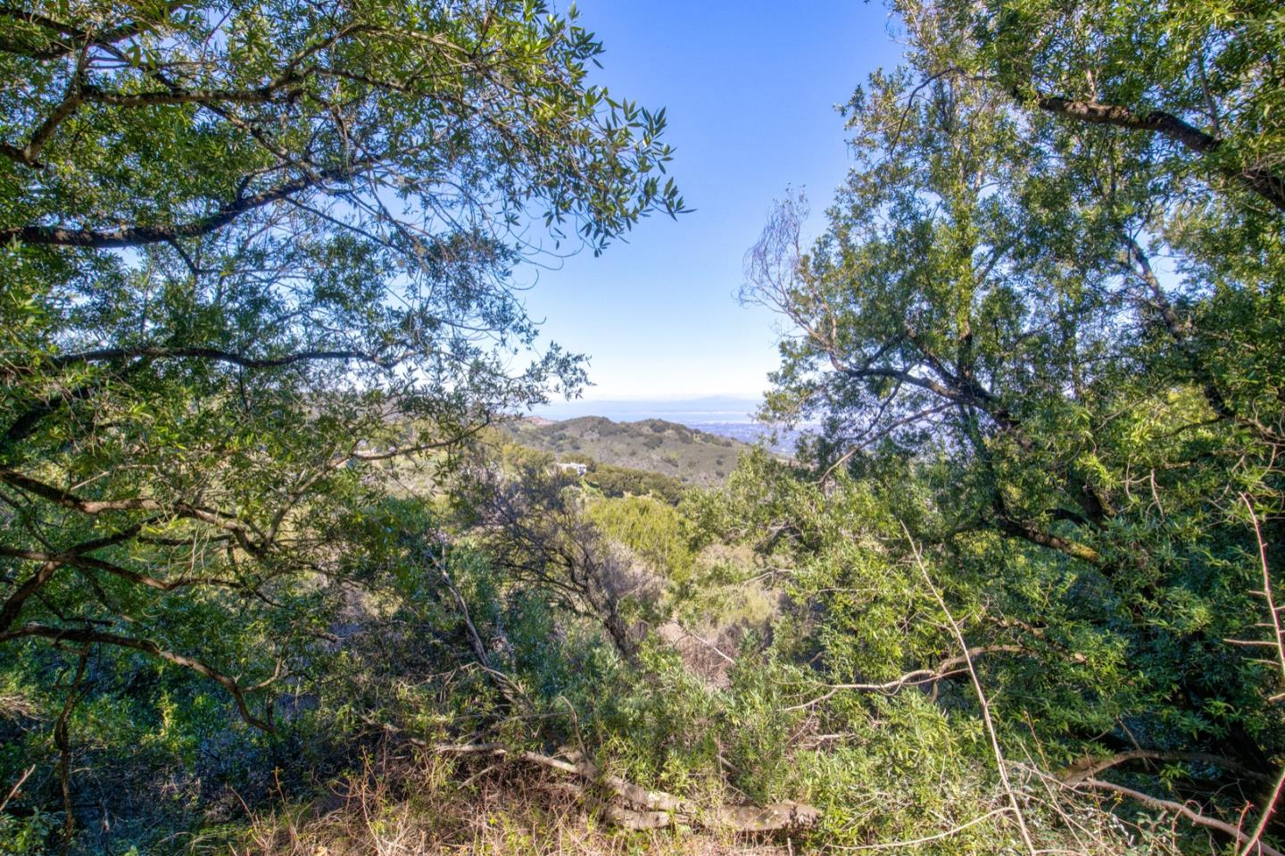 Detail Gallery Image 29 of 36 For 0 Montebello Rd, Cupertino,  CA 95014 - – Beds | – Baths