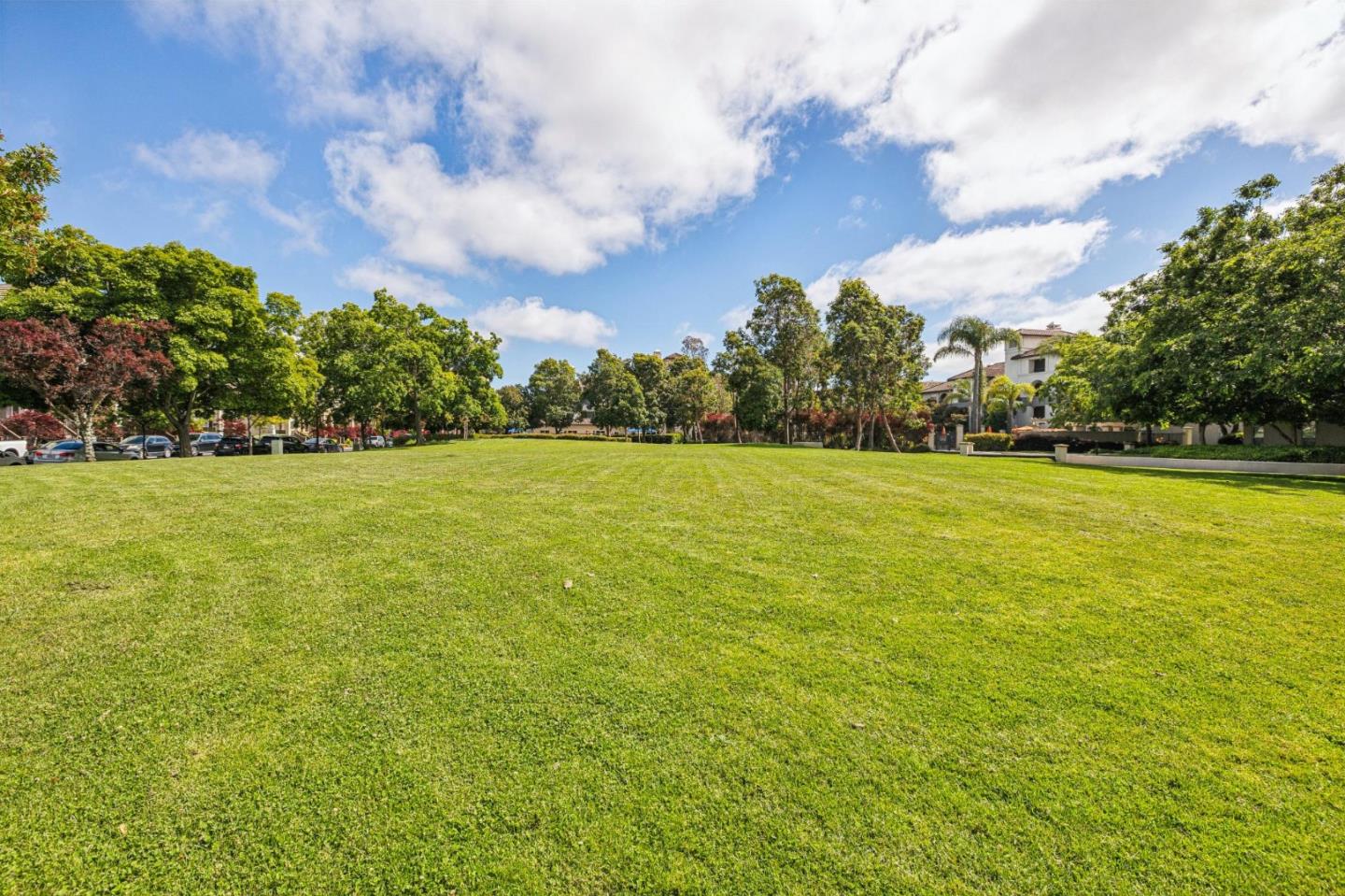 Photo #33: ML82043459 Listing: Photo #33