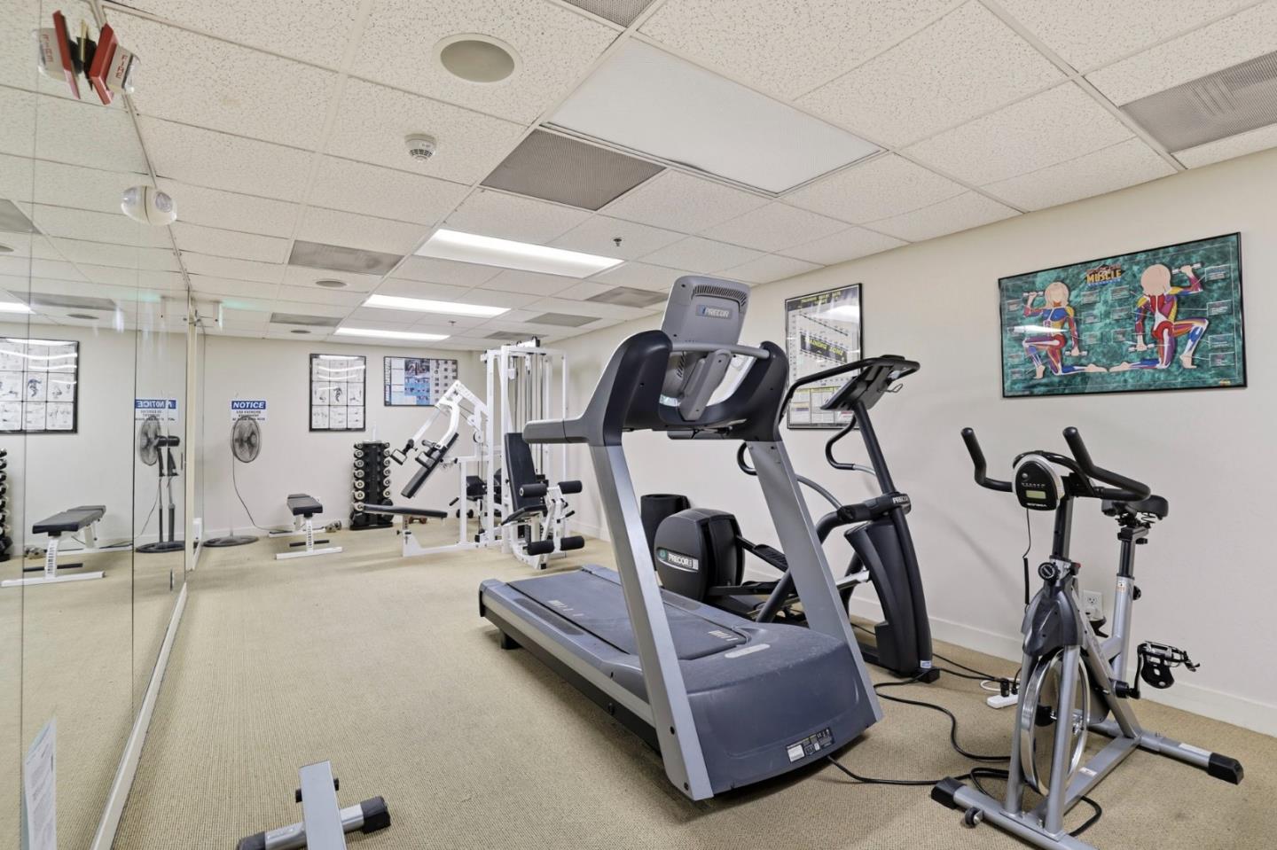 Photo #24: ML82043475 Listing: Photo #24