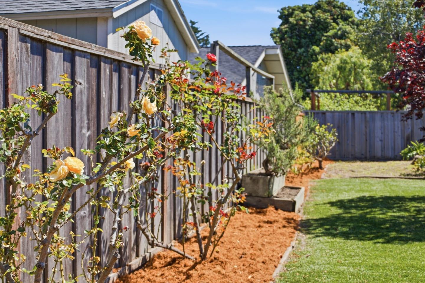 Detail Gallery Image 65 of 83 For 150 Tiller Ct, Half Moon Bay,  CA 94019 - 3 Beds | 2 Baths