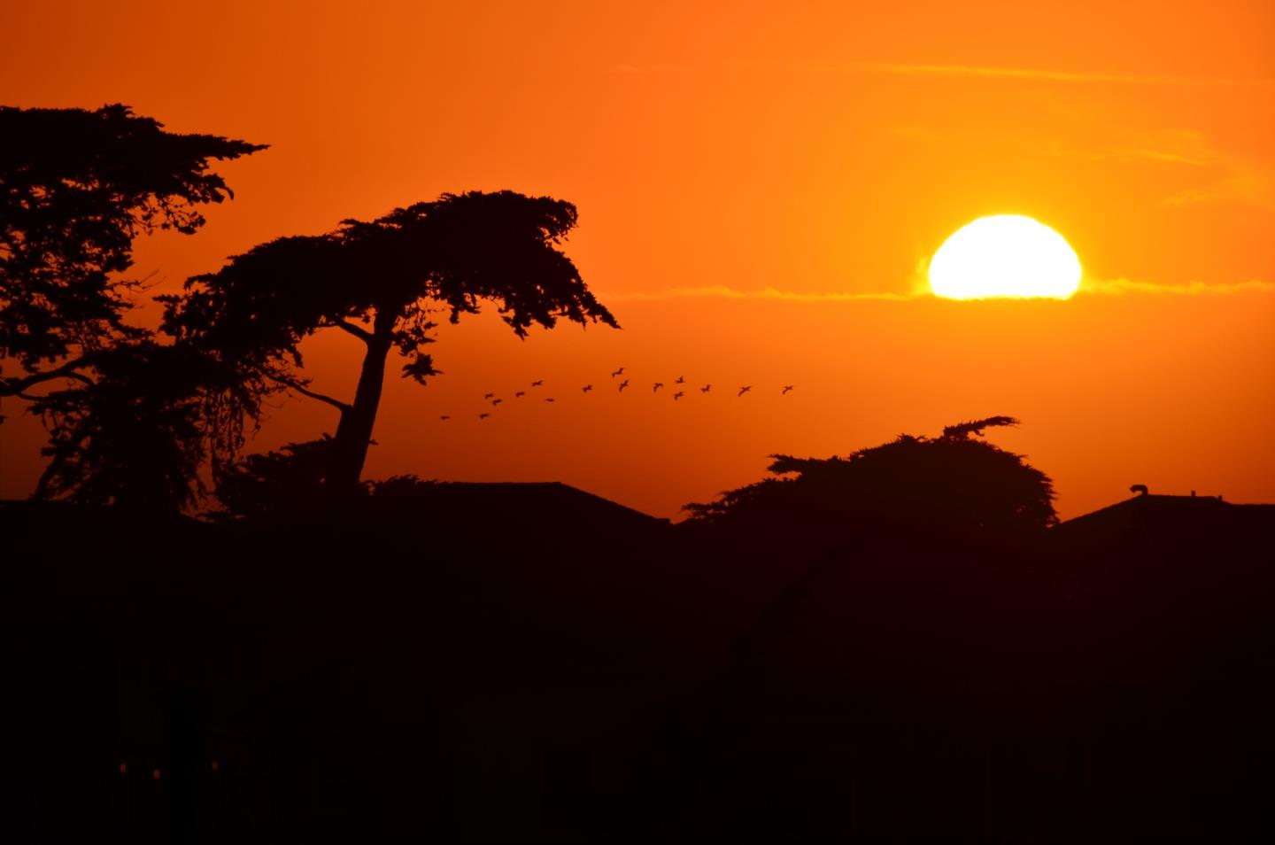 Detail Gallery Image 44 of 44 For 266 Sandy Gulch Dr, Marina,  CA 93933 - 3 Beds | 2/1 Baths