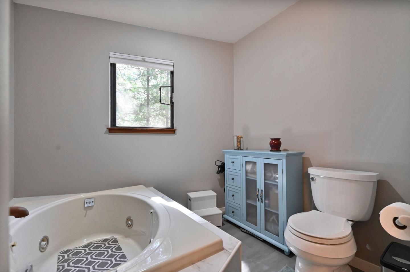 Detail Gallery Image 42 of 91 For 20175 Pine Dr, Pioneer,  CA 95666 - 3 Beds | 2 Baths