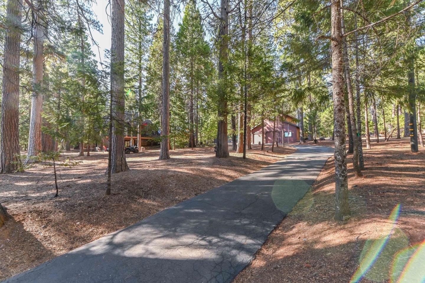 Detail Gallery Image 74 of 91 For 20175 Pine Dr, Pioneer,  CA 95666 - 3 Beds | 2 Baths