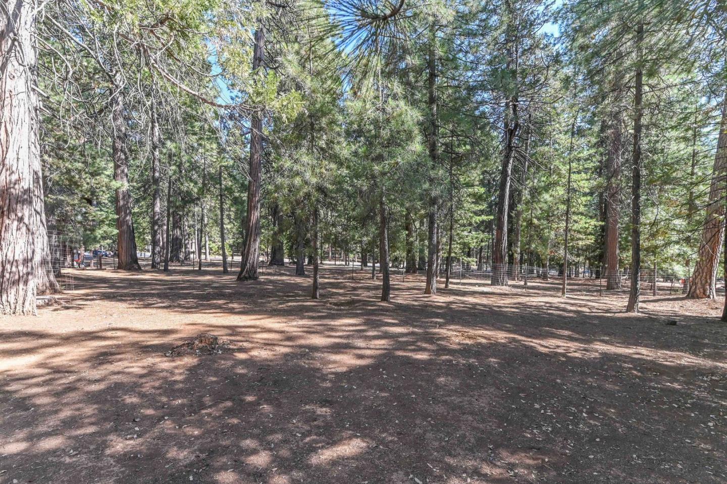 Detail Gallery Image 78 of 91 For 20175 Pine Dr, Pioneer,  CA 95666 - 3 Beds | 2 Baths