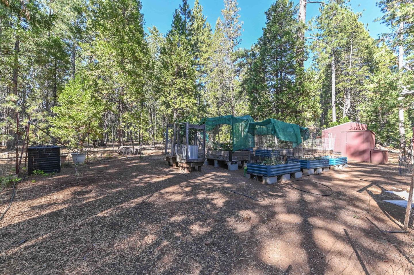 Detail Gallery Image 82 of 91 For 20175 Pine Dr, Pioneer,  CA 95666 - 3 Beds | 2 Baths