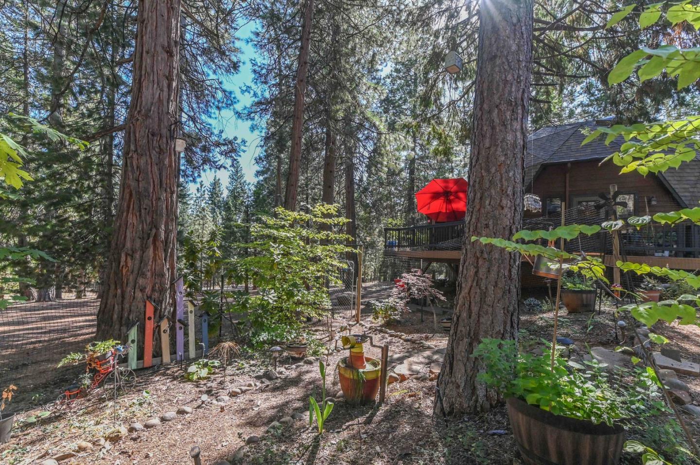 Detail Gallery Image 85 of 91 For 20175 Pine Dr, Pioneer,  CA 95666 - 3 Beds | 2 Baths