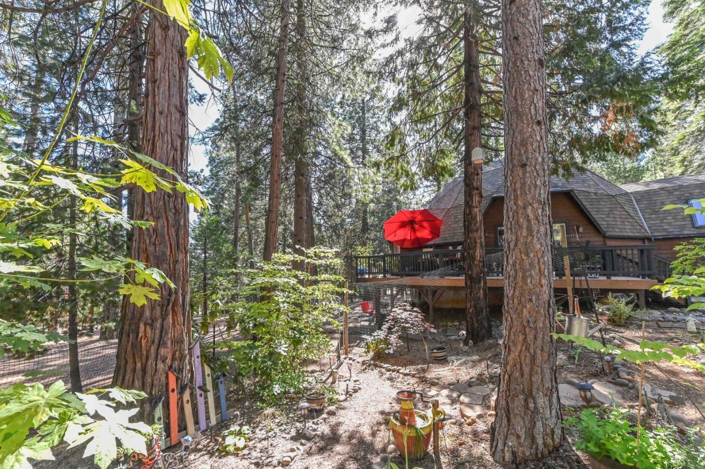 Detail Gallery Image 91 of 91 For 20175 Pine Dr, Pioneer,  CA 95666 - 3 Beds | 2 Baths