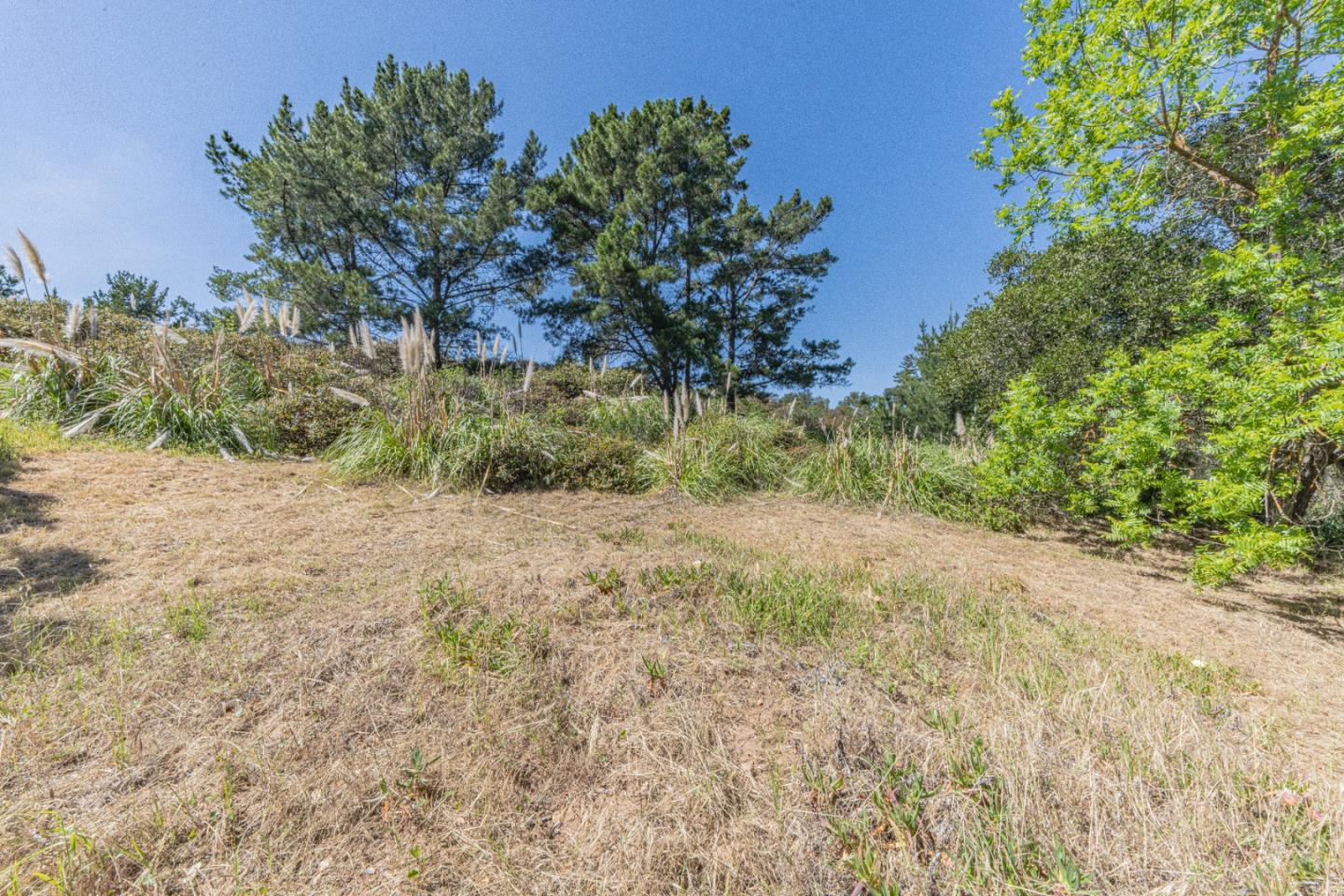 Detail Gallery Image 7 of 14 For 7010 Valle Pacifico Rd, Salinas,  CA 93907 - – Beds | – Baths