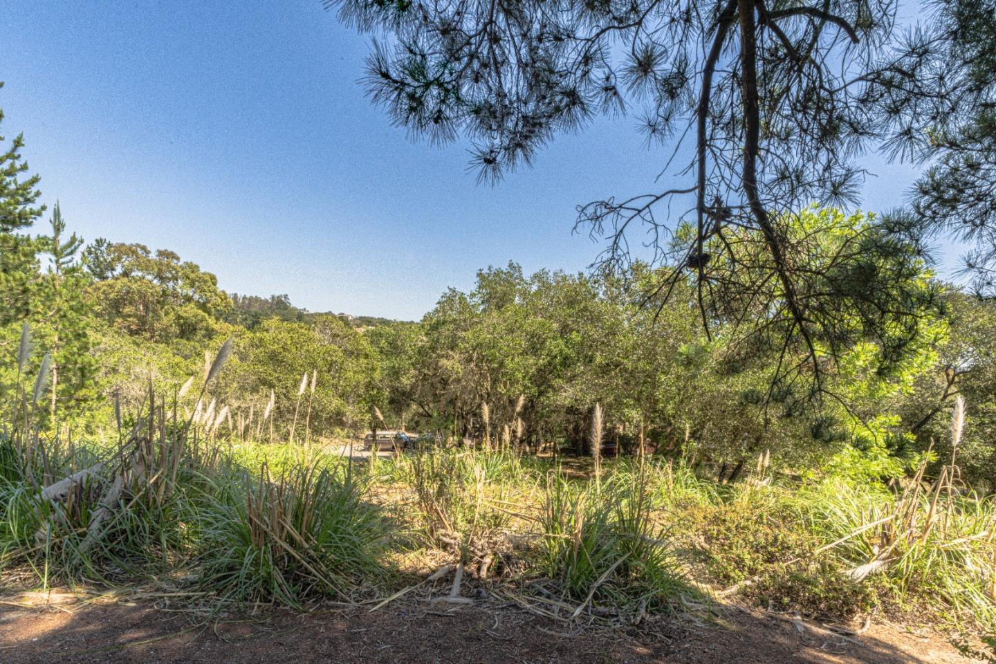 Detail Gallery Image 8 of 14 For 7010 Valle Pacifico Rd, Salinas,  CA 93907 - – Beds | – Baths