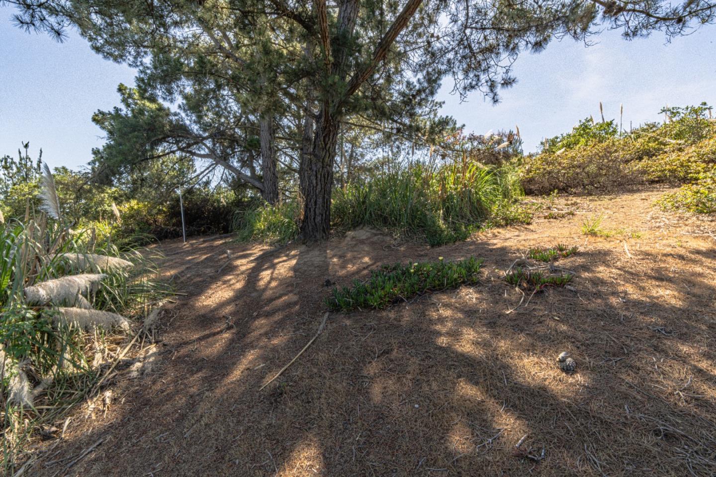 Detail Gallery Image 9 of 14 For 7010 Valle Pacifico Rd, Salinas,  CA 93907 - – Beds | – Baths